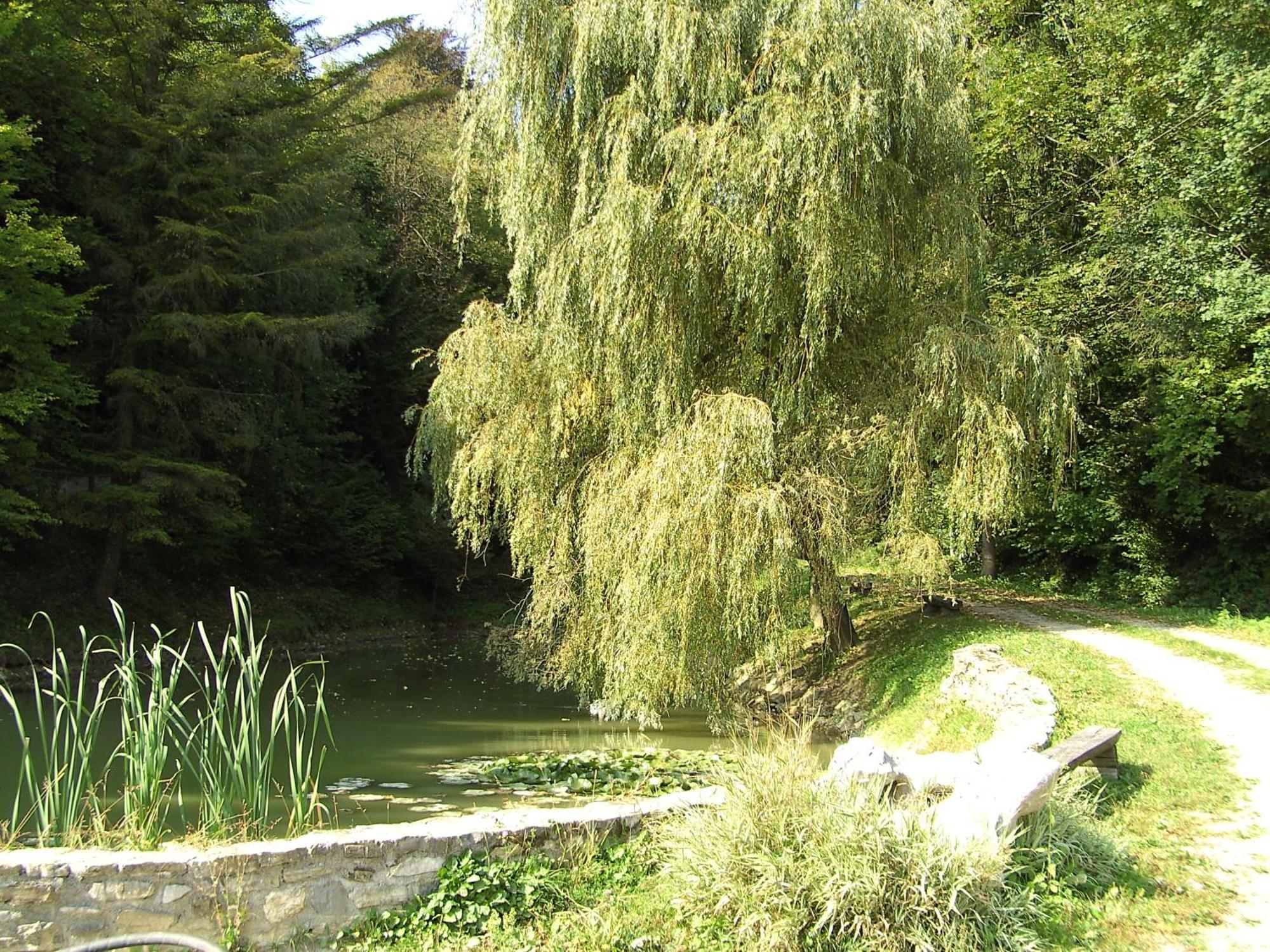 Pišece Vila Silva Marija Apartments מראה חיצוני תמונה