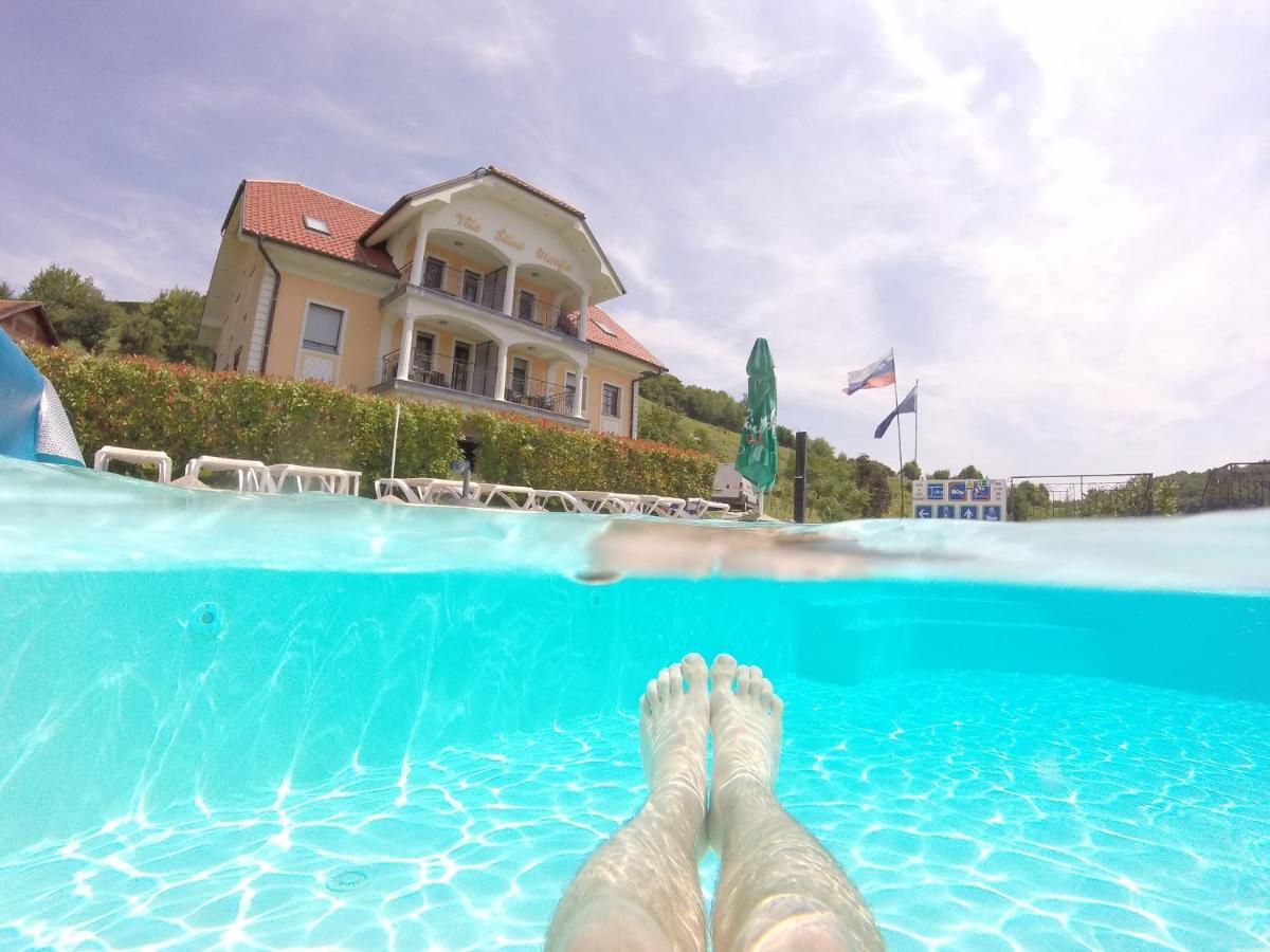 Pišece Vila Silva Marija Apartments מראה חיצוני תמונה